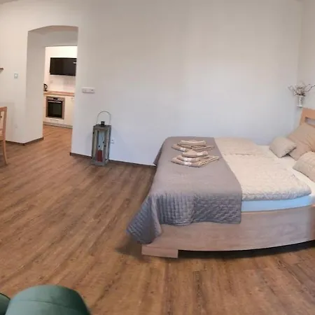 Apartmán Hvězda Želnava